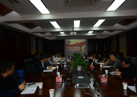 壓實(shí)基層黨建責(zé)任 助推公司穩(wěn)定發(fā)展(圖1) 壓實(shí)基層黨建責(zé)任 助推公司穩(wěn)定發(fā)展(圖1)