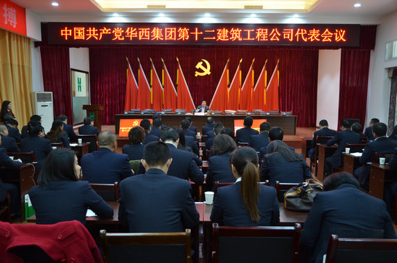 認(rèn)真做好集團(tuán)第三次黨代會(huì)代表選舉工作(圖1) 認(rèn)真做好集團(tuán)第三次黨代會(huì)代表選舉工作(圖1)