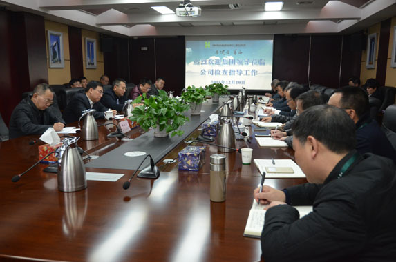 集團領(lǐng)導深入十二公司開展調(diào)研工作(圖1) 集團領(lǐng)導深入十二公司開展調(diào)研工作(圖1)