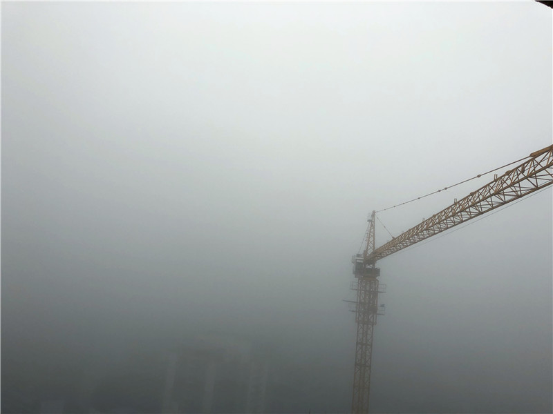 橋、晨曦中的小花、落葉(圖1)