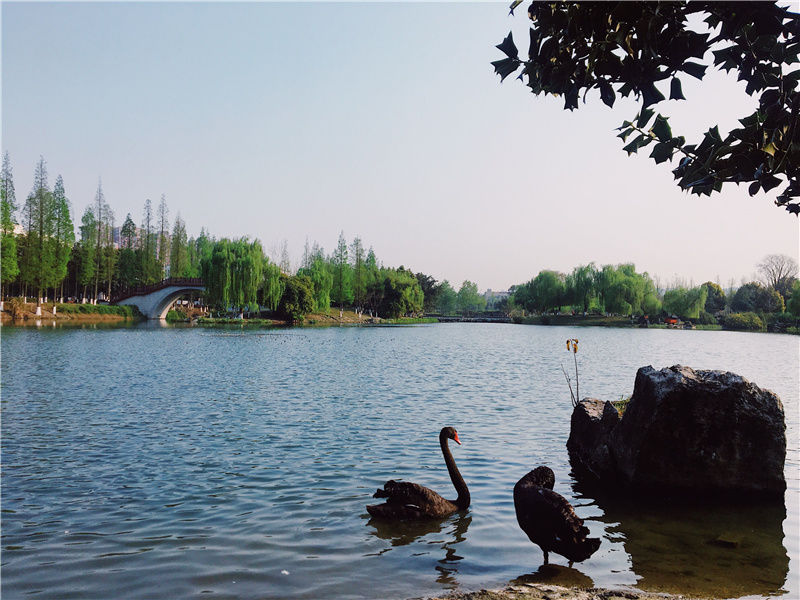 夏日浪漫請查收！(圖3)